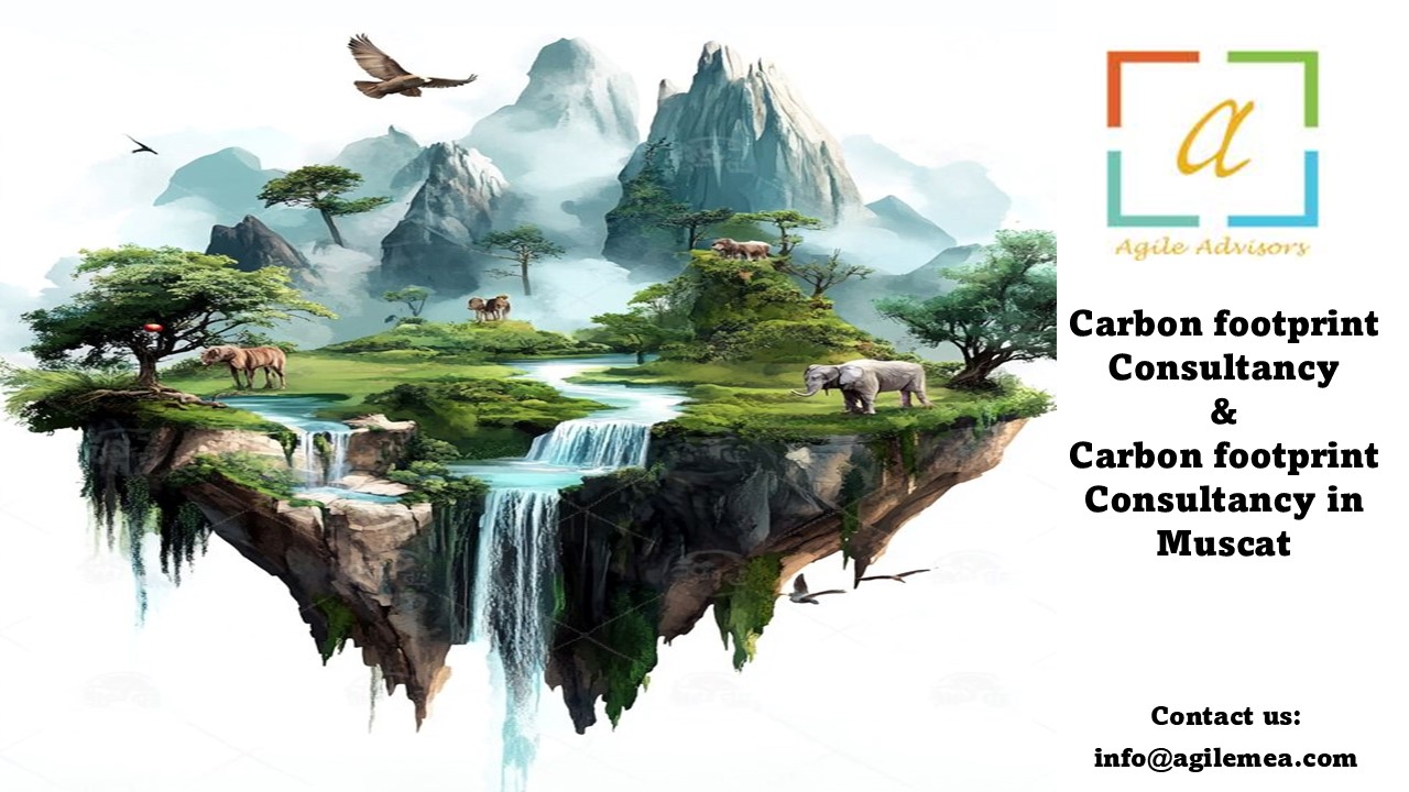 Carbon footprint Consultancy