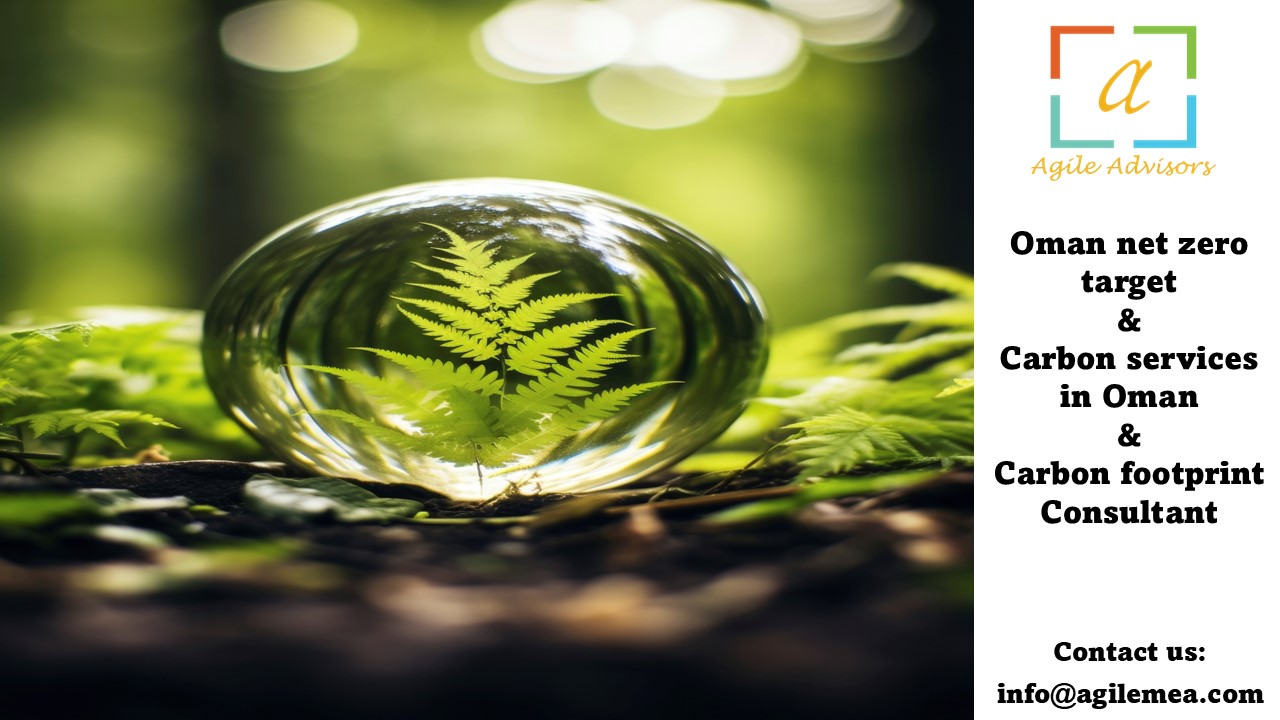 Carbon footprint Consultant