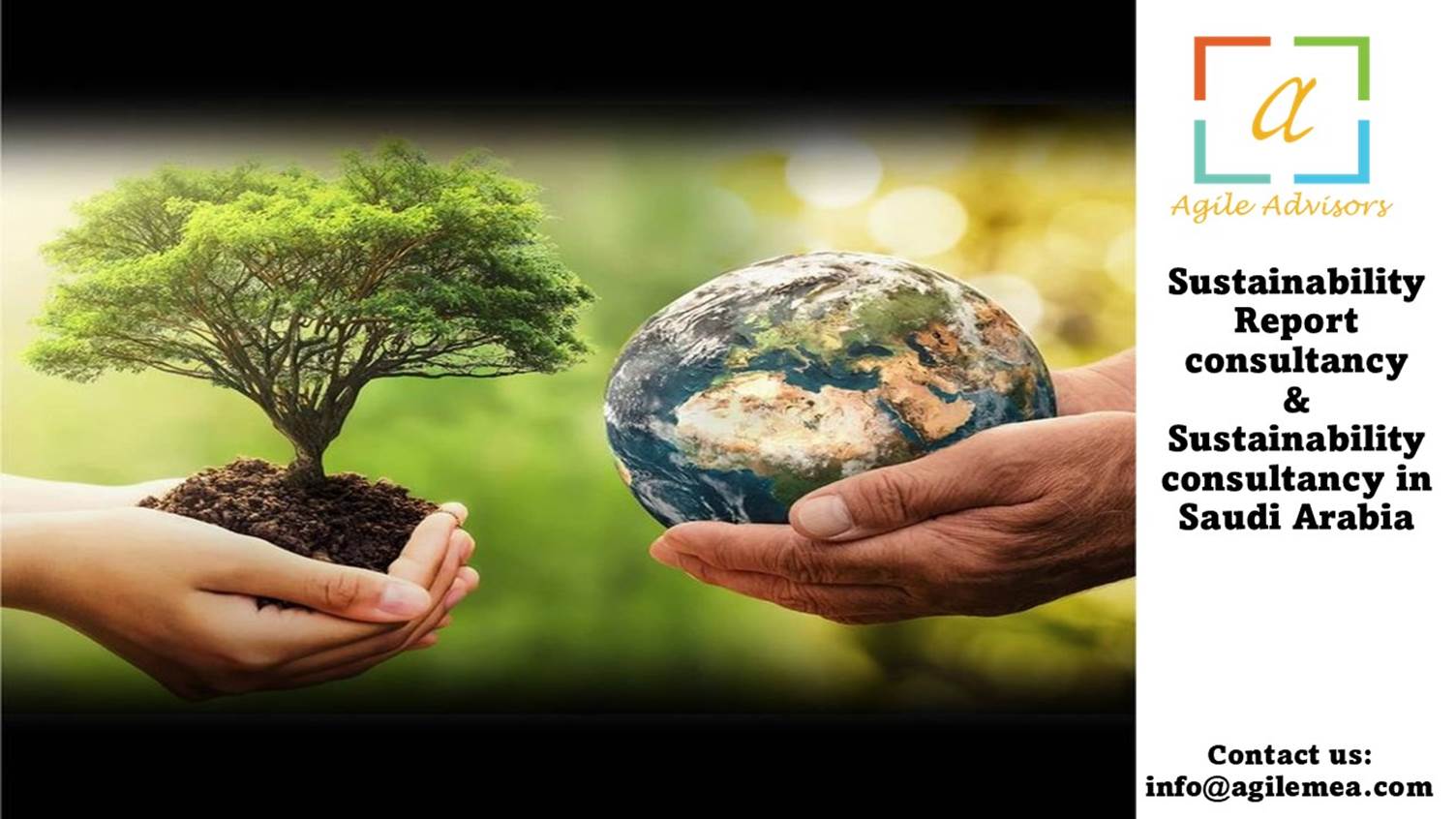 Sustainability Report Consultancy