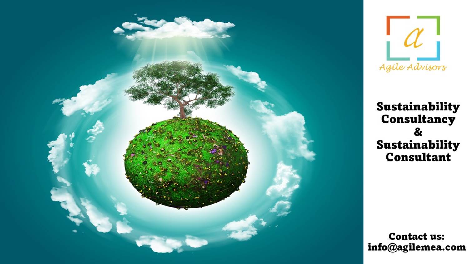 Sustainability Consultancy