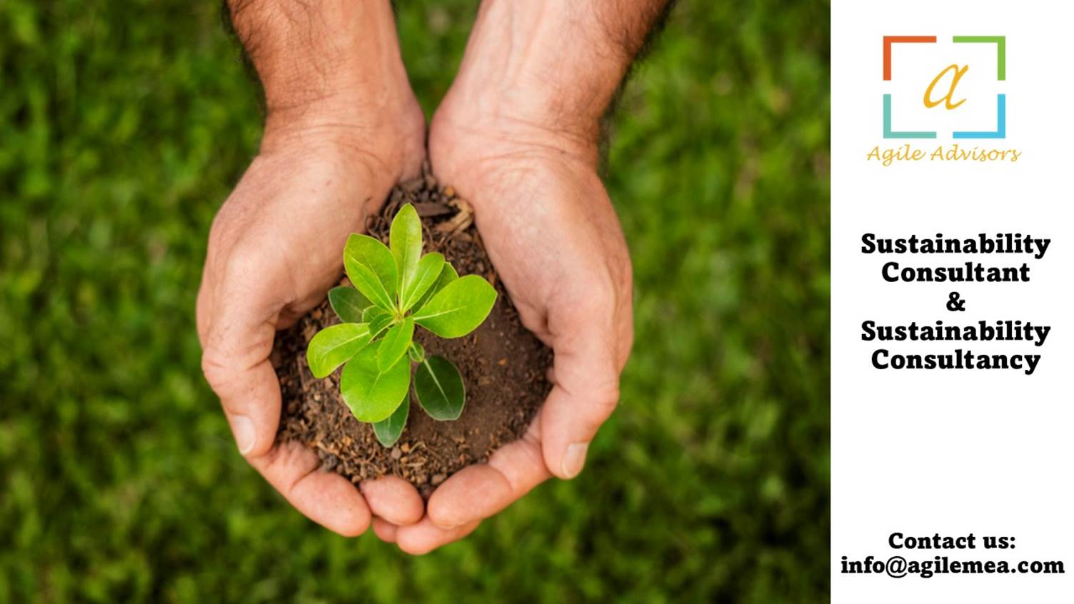 Sustainability Consultant