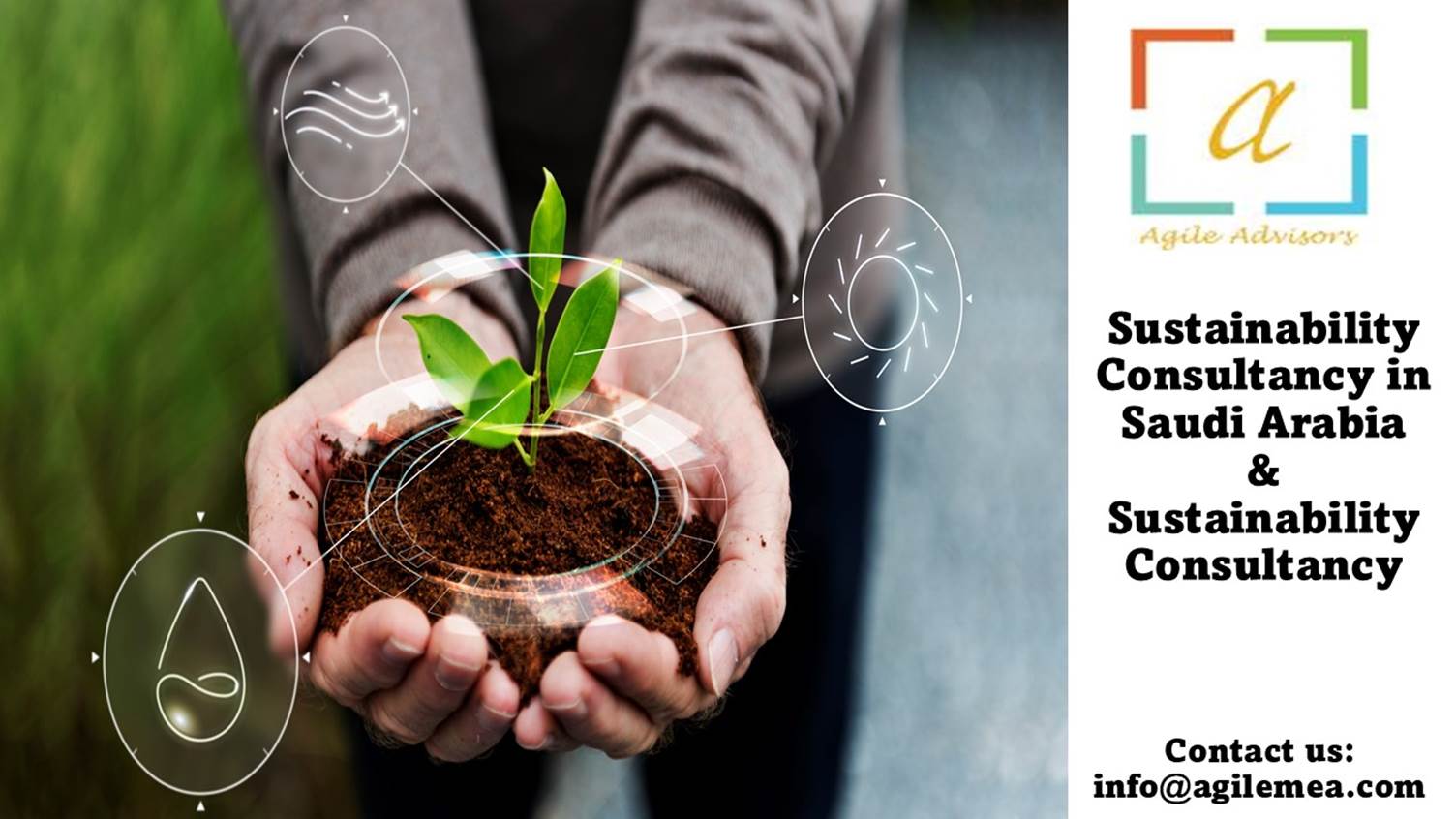Hands holding a plant in dirtAI-generated content may be incorrect.