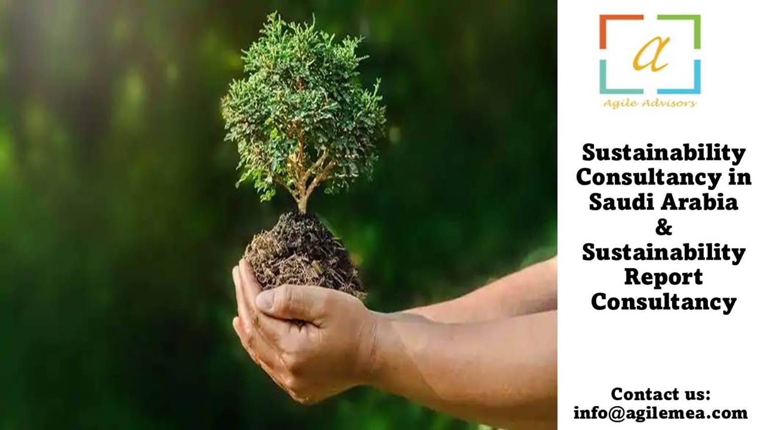 A person holding a small treeAI-generated content may be incorrect.