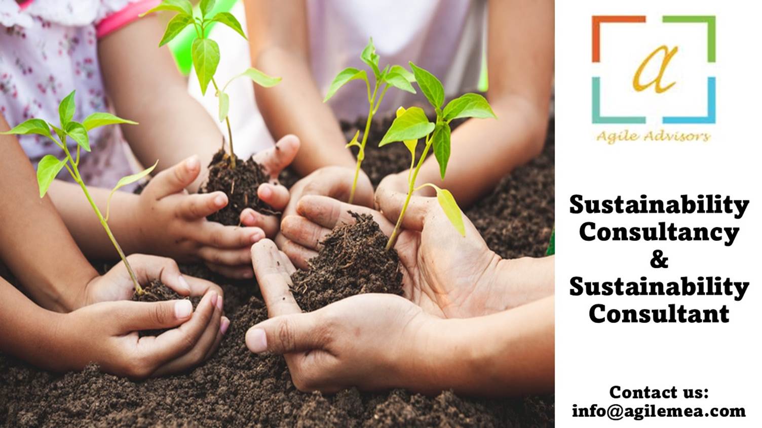Hands holding dirt and a plant
AI-generated content may be incorrect.