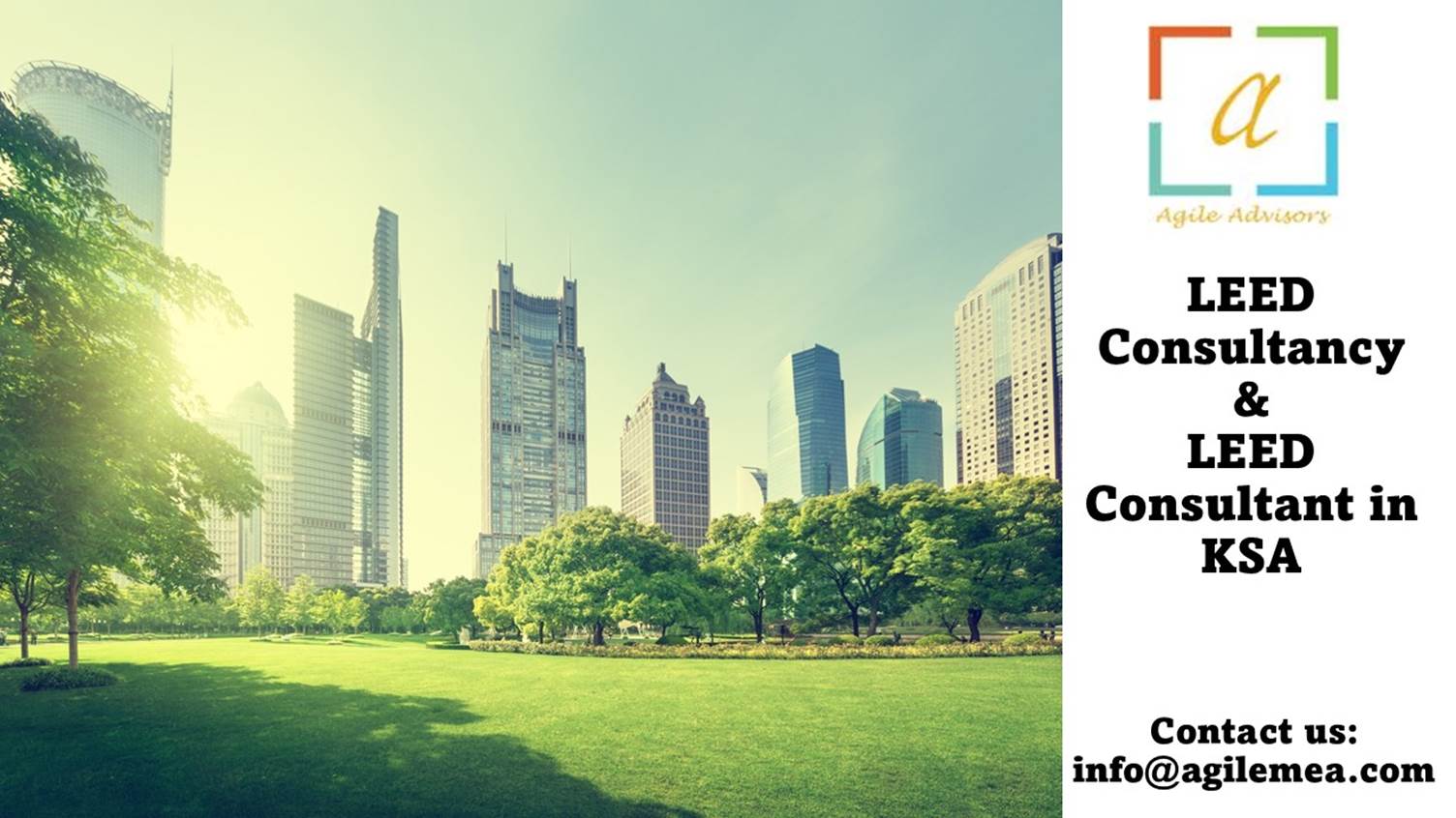 A green lawn with trees and buildings in the backgroundAI-generated content may be incorrect.