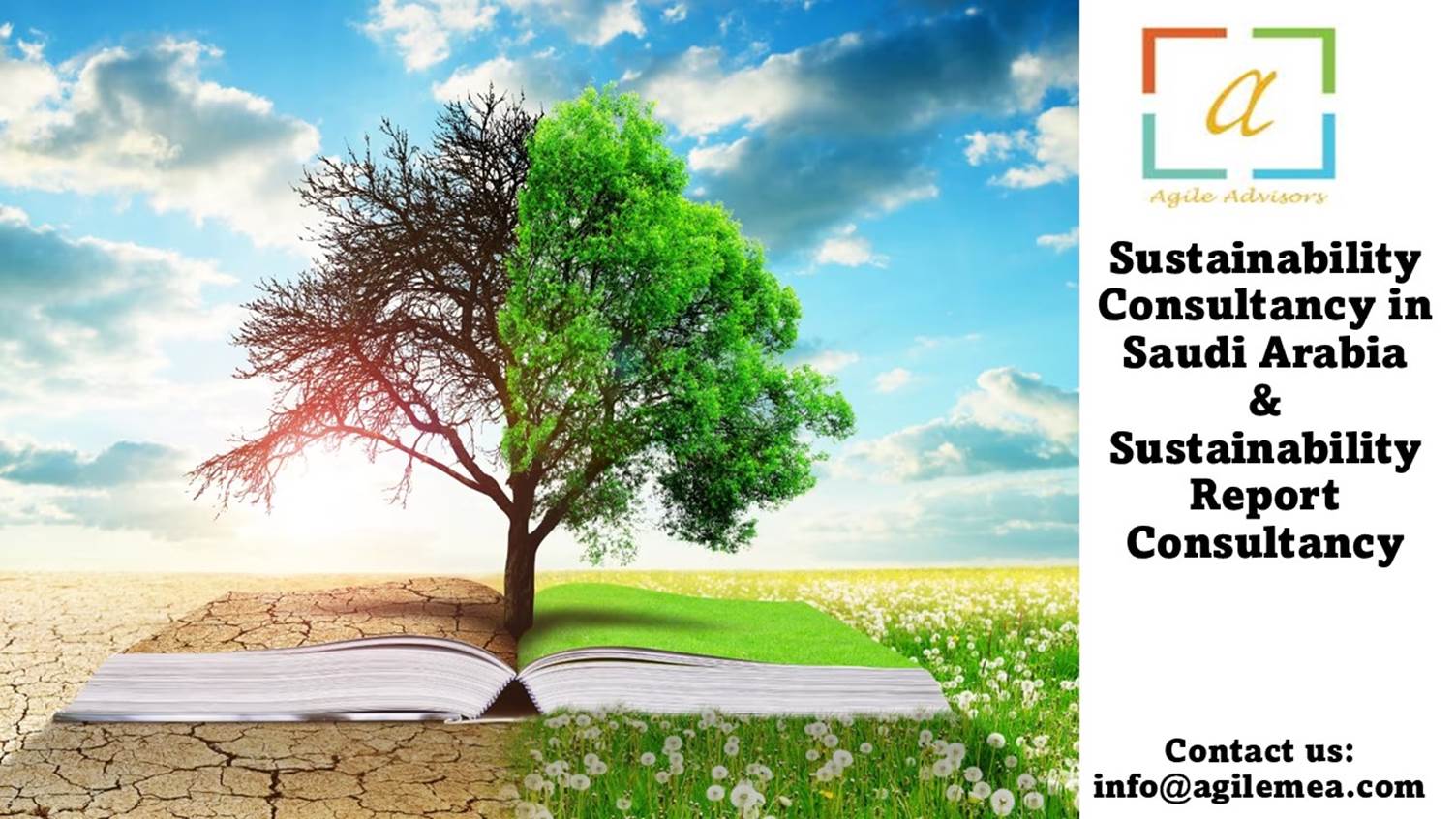 Sustainability report consultancy