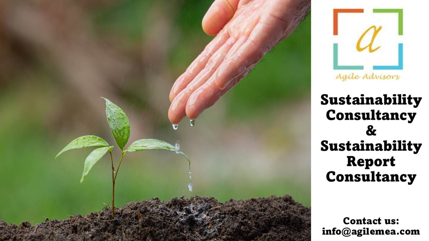 A hand pouring water onto a small plantAI-generated content may be incorrect.