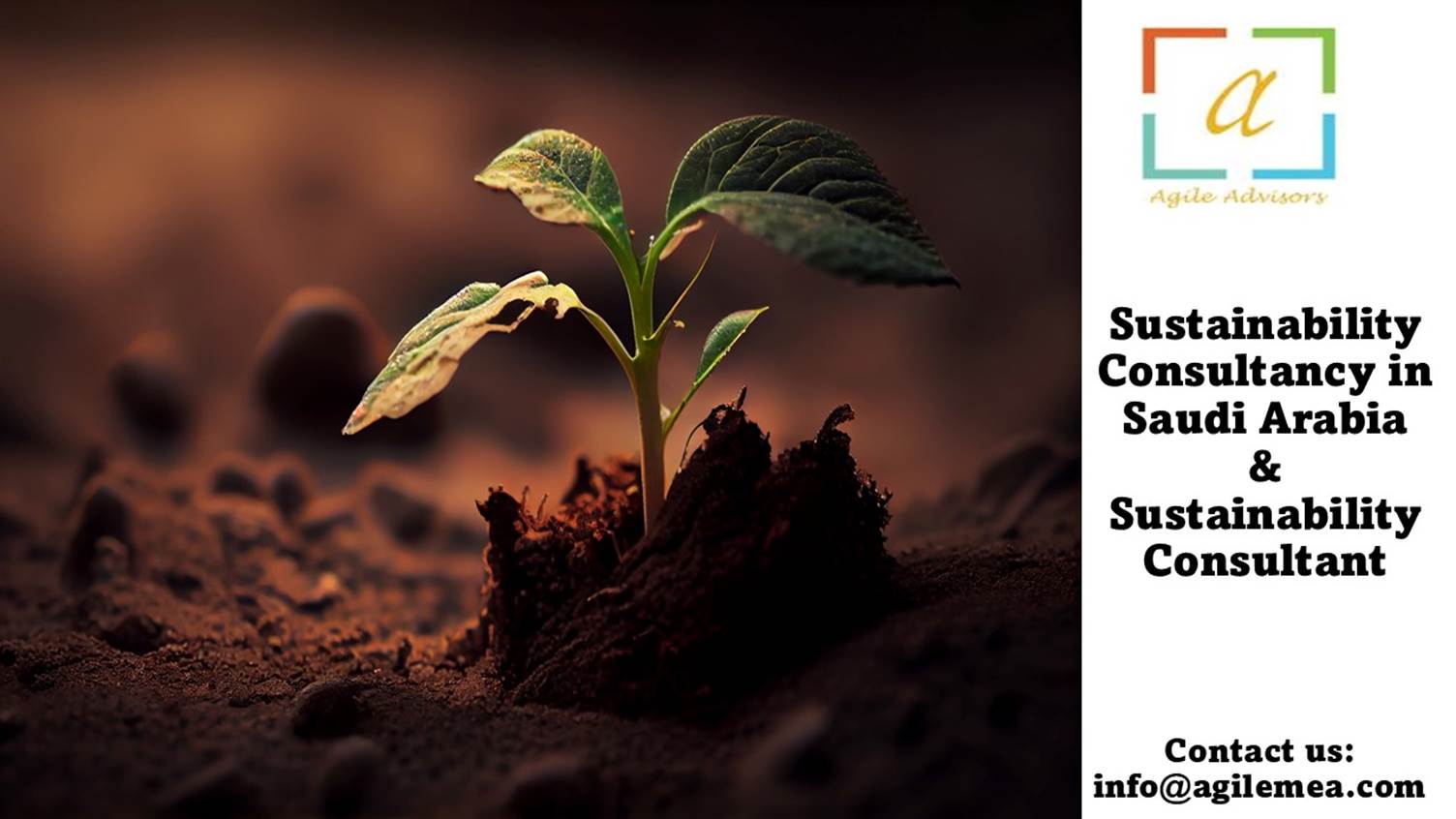 A green plant growing out of dirtAI-generated content may be incorrect.
