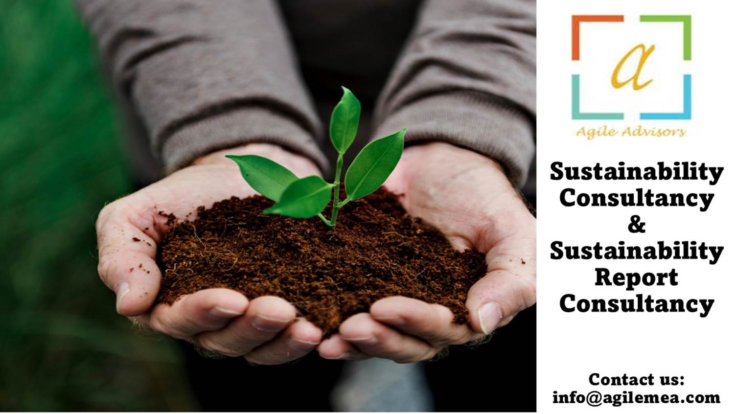 A person holding a small plant in dirtAI-generated content may be incorrect.