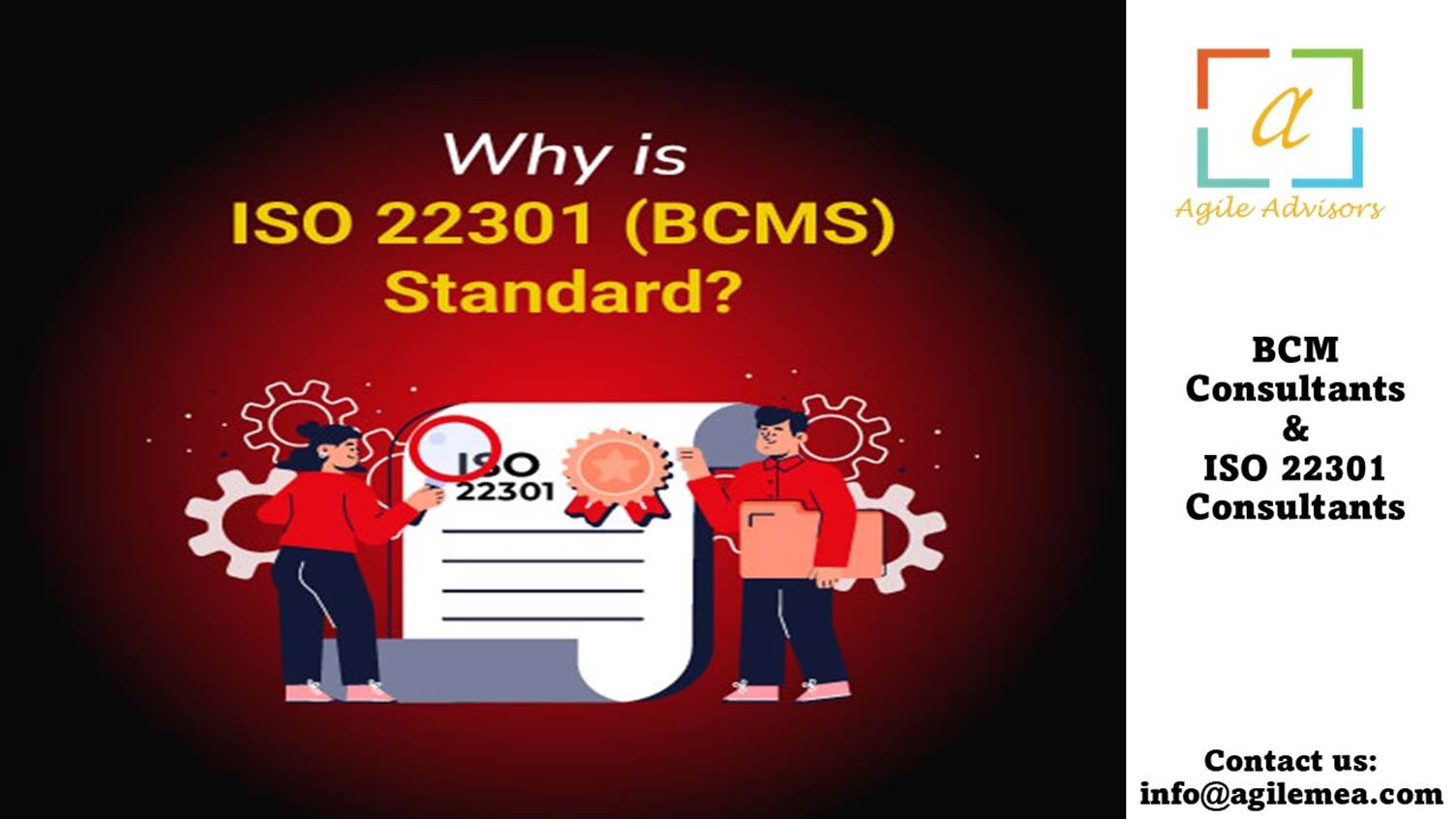 BCM Consultants