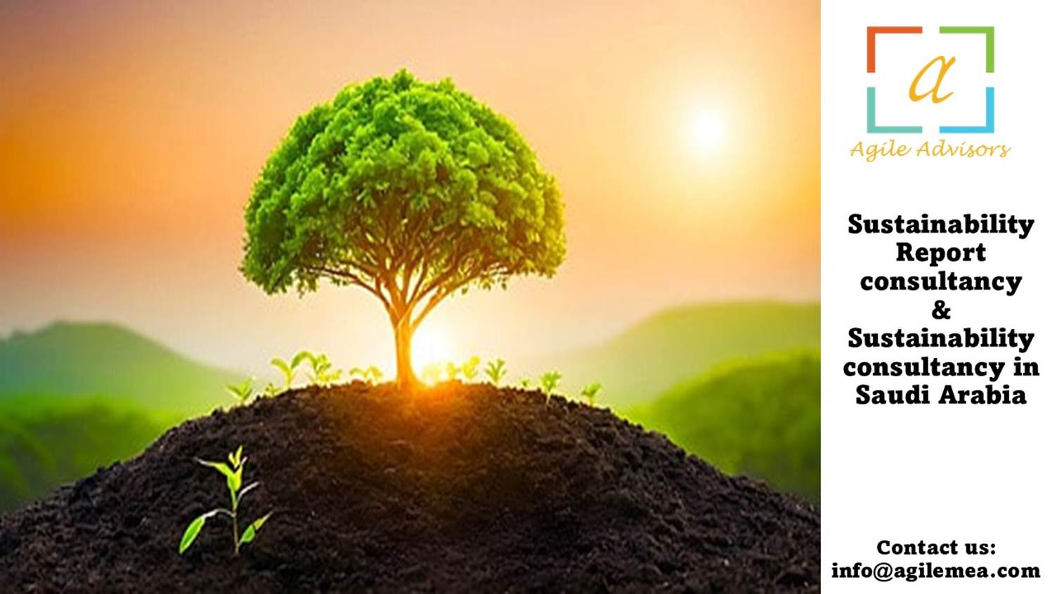Sustainability Consultancy in Saudi Arabia