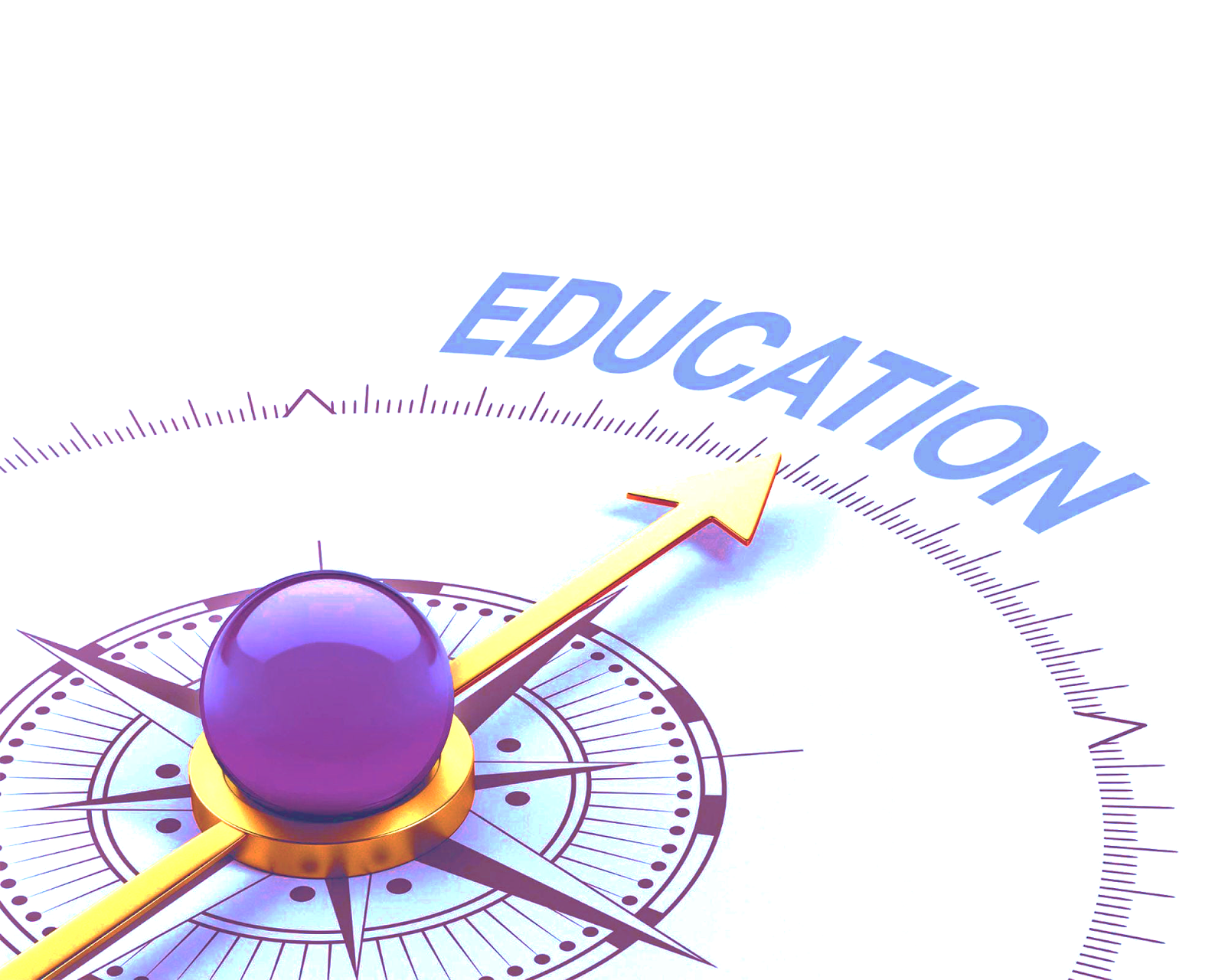Education and Skills in Bulgaria | OECD