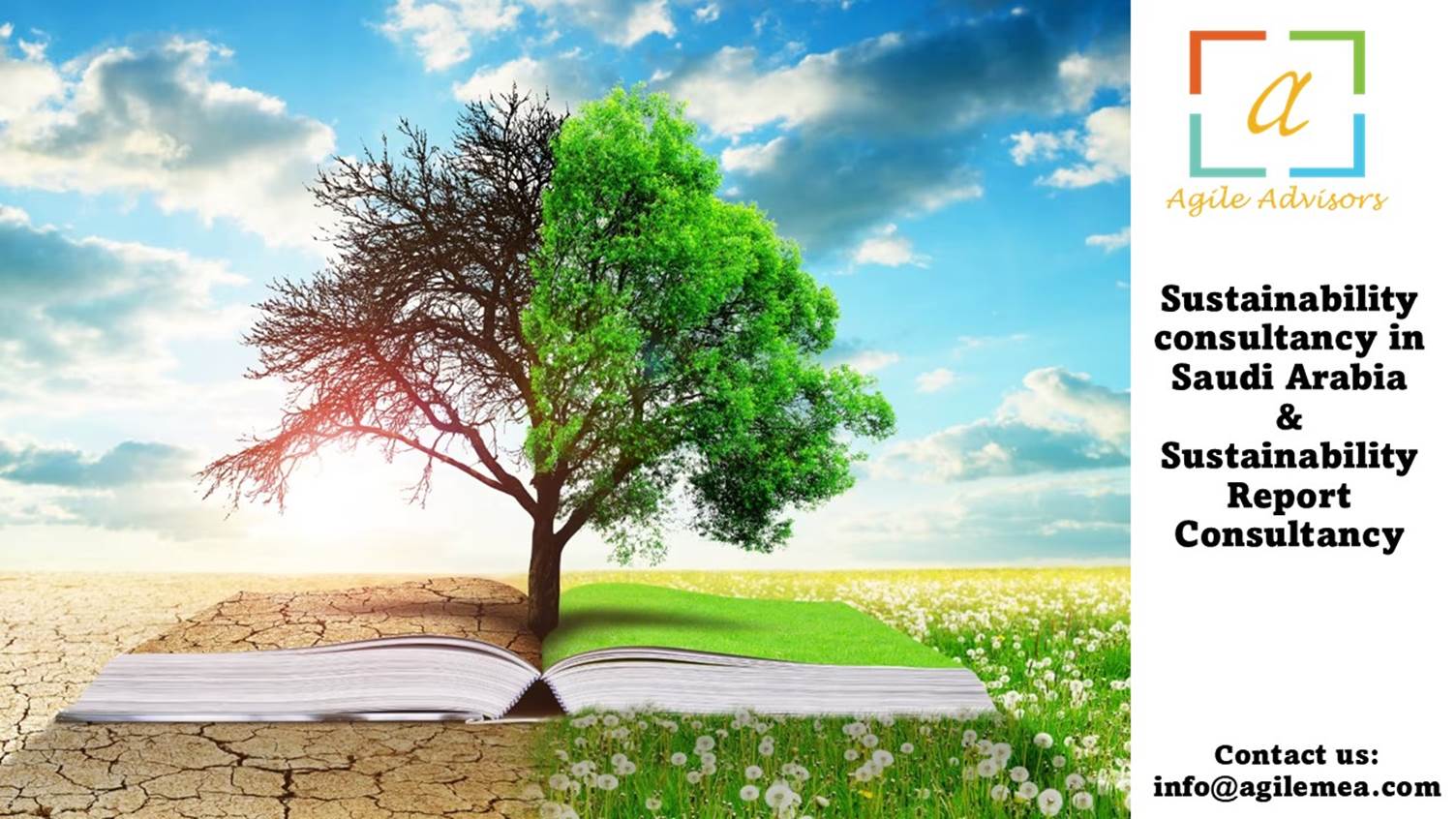 A tree growing from a bookAI-generated content may be incorrect.