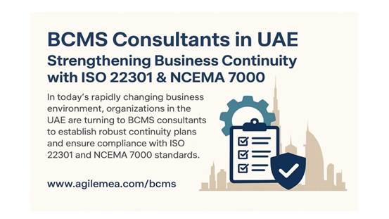 BCMS Consultants in UAE