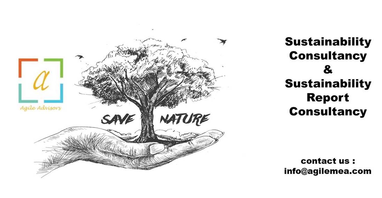 Sustainability Consultancy