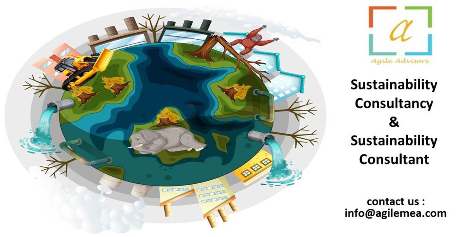 Sustainability Consultancy