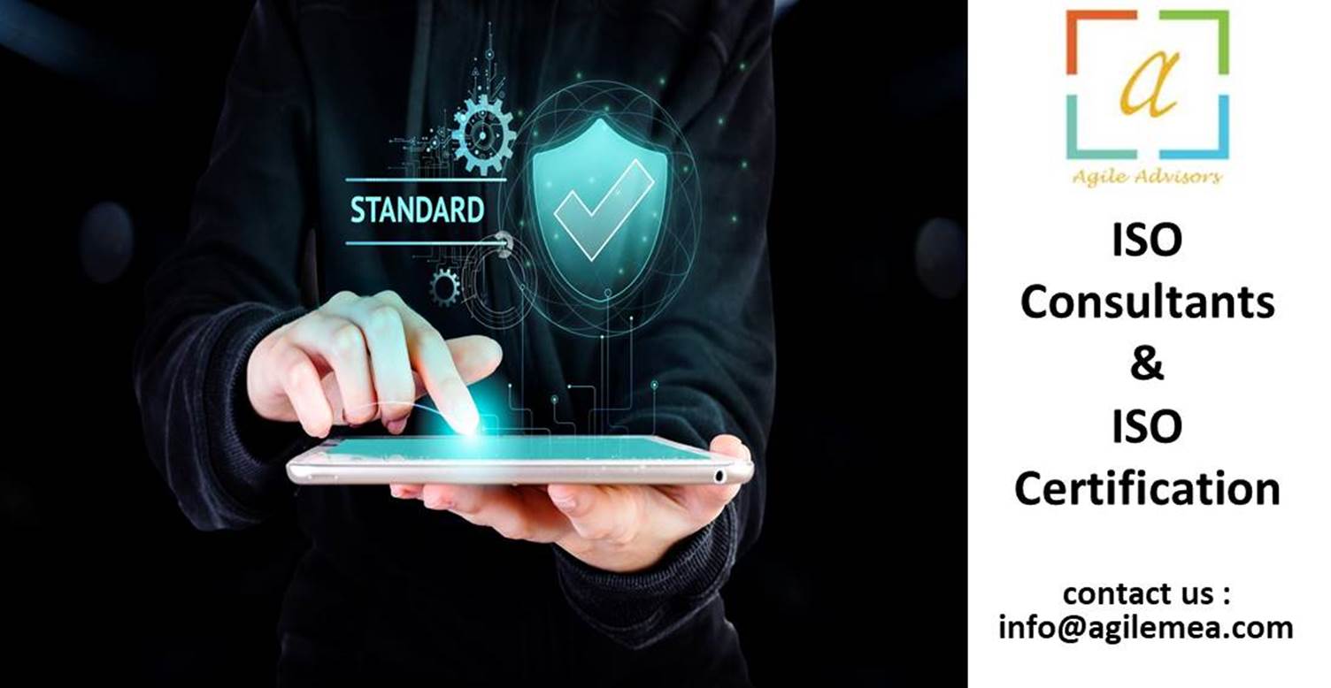 ISO Consultant