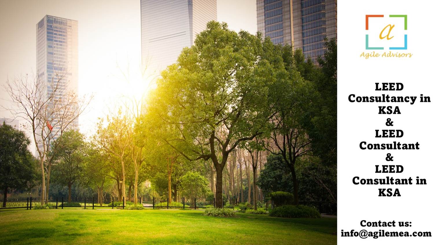 A green grass field with trees and buildings in the background
AI-generated content may be incorrect.