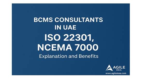 BCMS Consultants in UAE