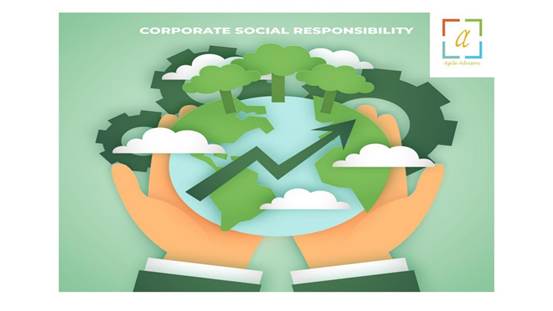Why Every Business Needs a Professional Sustainability Reporting Consultant In Dubai & the UAE