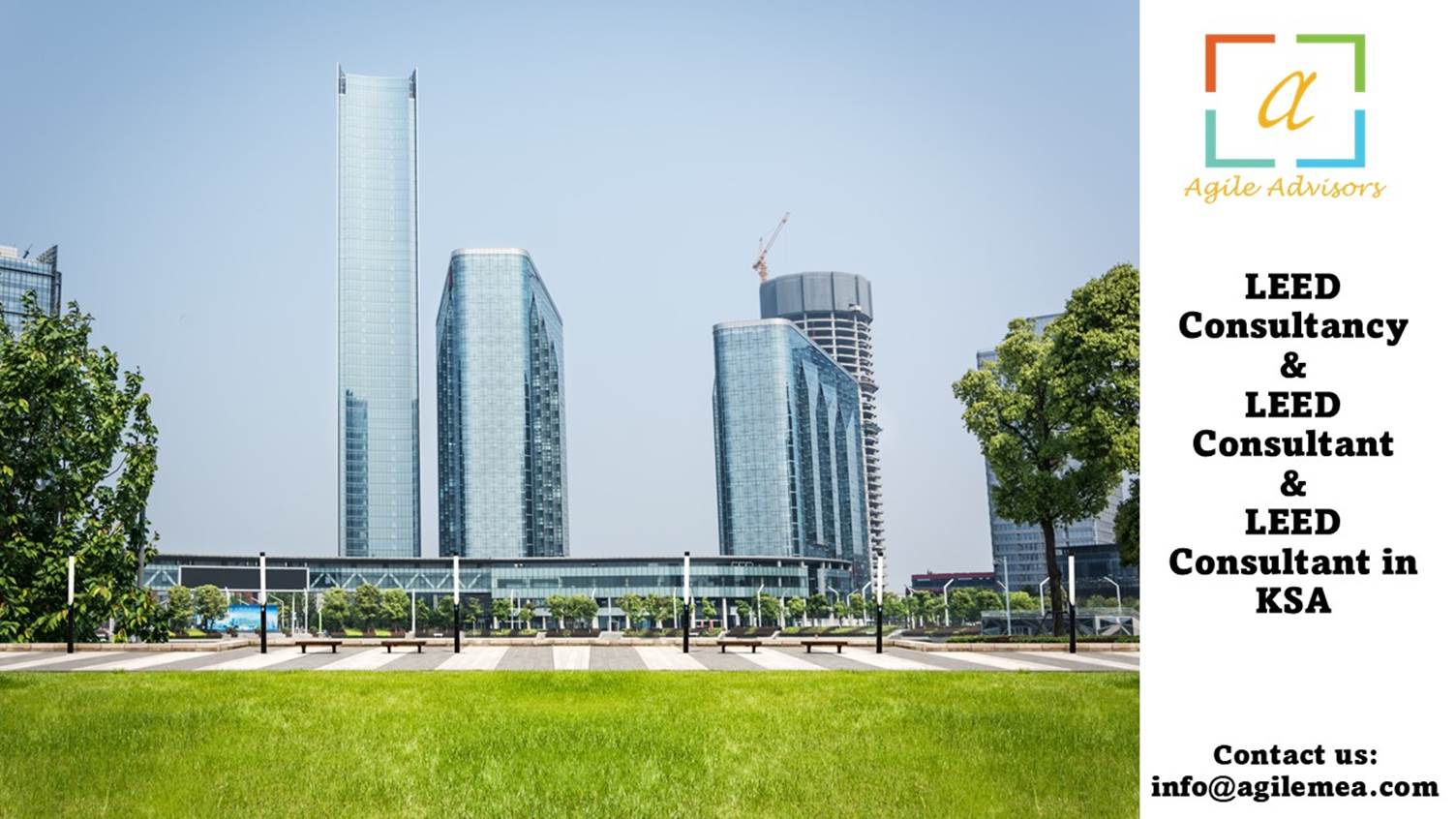 A green lawn with tall buildings in the background
AI-generated content may be incorrect.