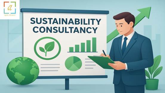 Sustainability Consultancy in Dubai