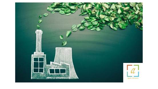 How Expert Sustainability Reporting Consultant Services Elevate Corporate Transparency in Dubai and Across the UAE