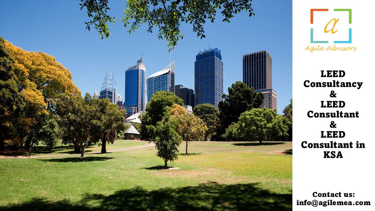 A park with trees and buildings in the background
AI-generated content may be incorrect.