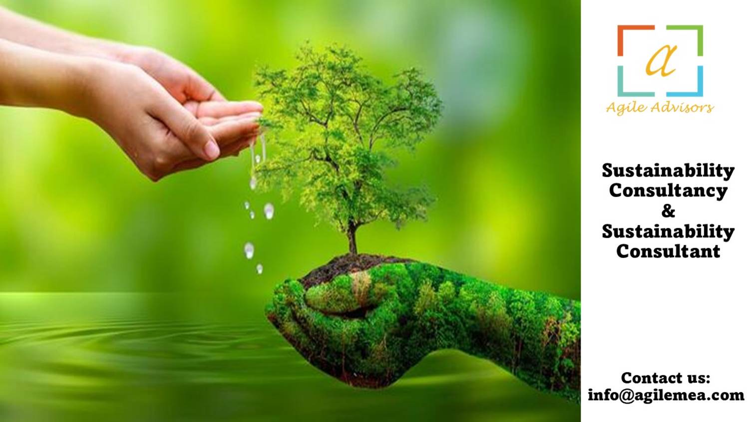 A hand holding a treeAI-generated content may be incorrect.