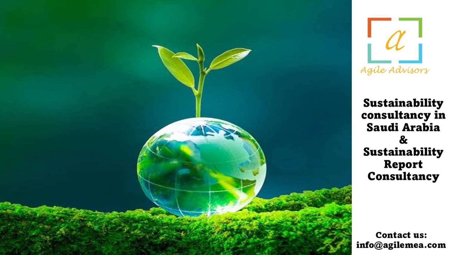 A glass egg with a plant growing out of itAI-generated content may be incorrect.