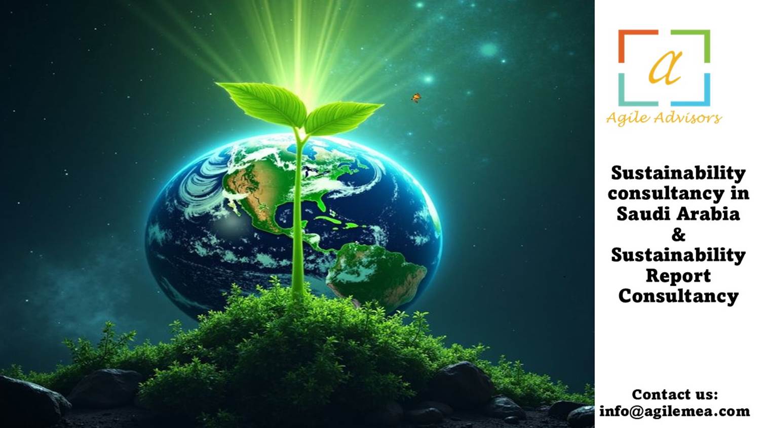A plant growing from the ground
AI-generated content may be incorrect.