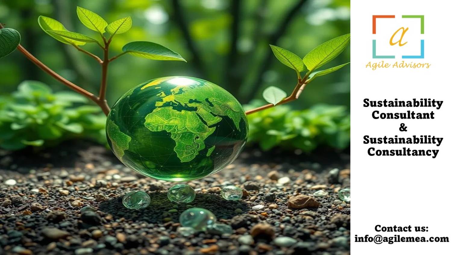 Sustainability Consultancy