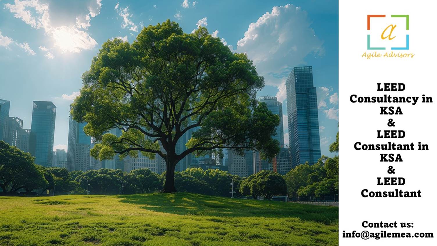 A tree in a park with a city in the backgroundAI-generated content may be incorrect.