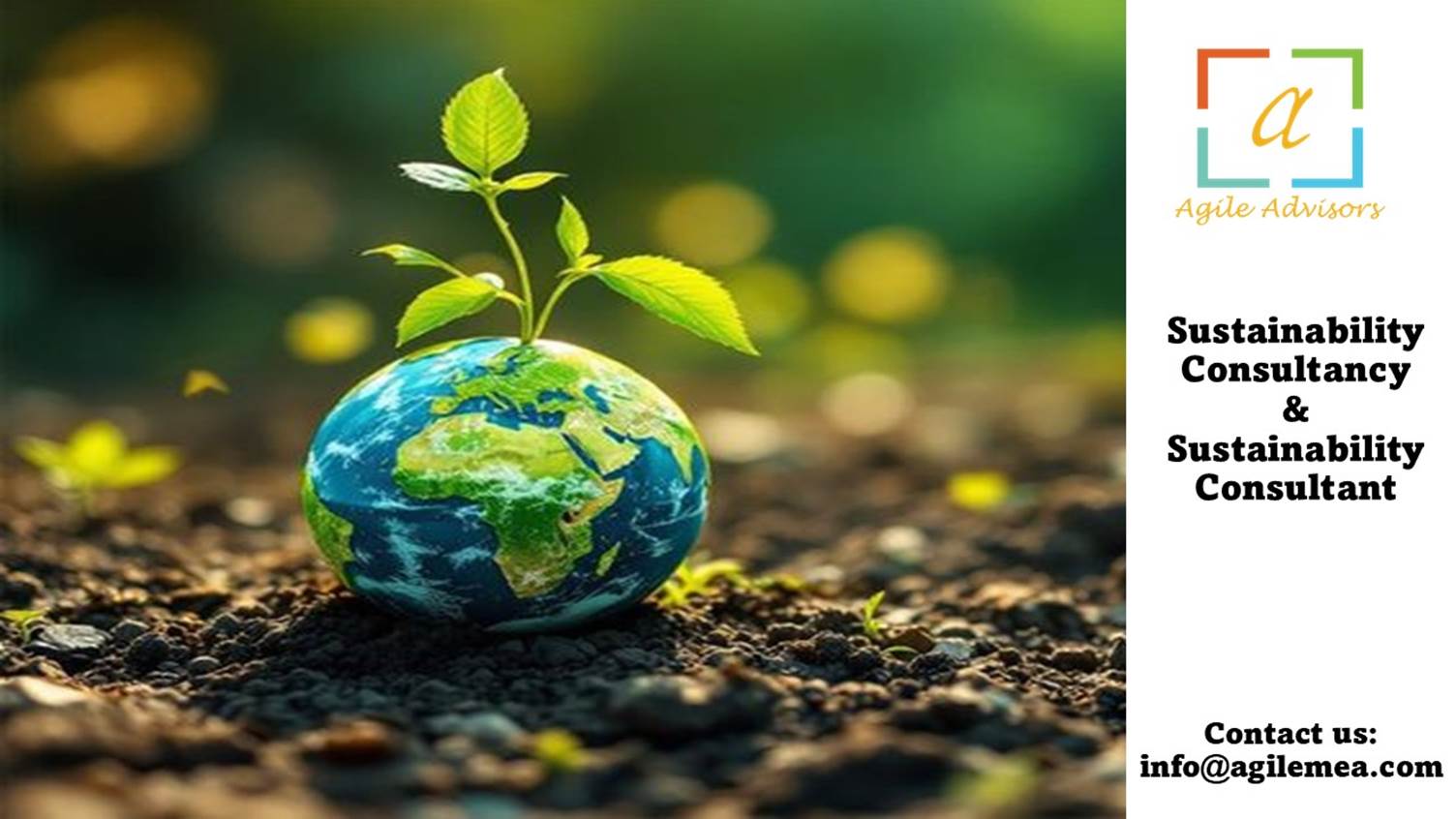 A plant growing on a planet
AI-generated content may be incorrect.