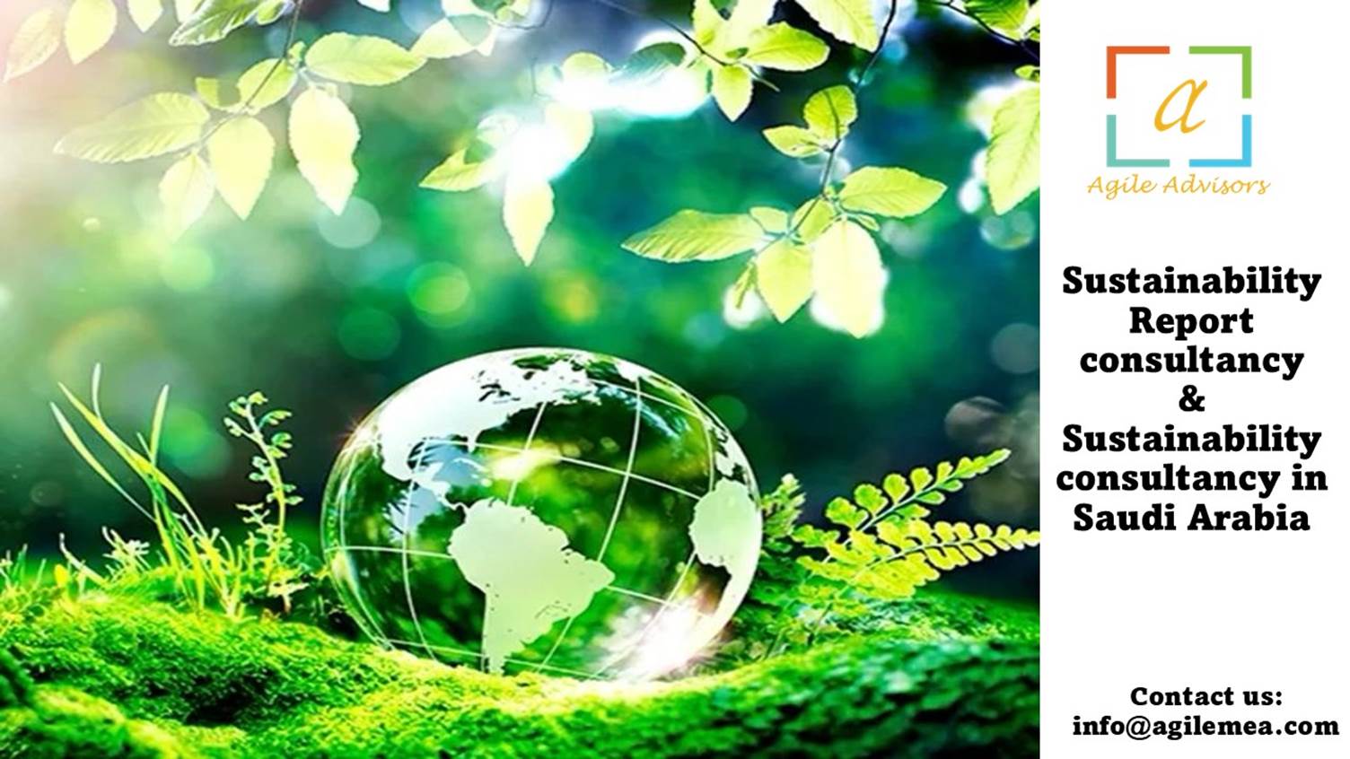 Sustainability Report Consultancy