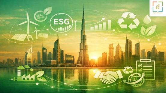 Sustainability Reporting Consultant In Dubai