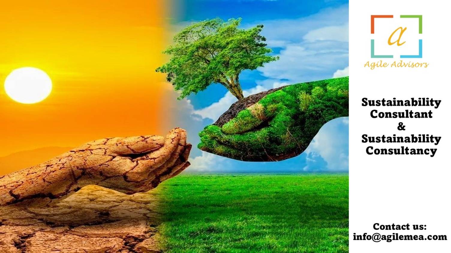 Sustainability Consultancy