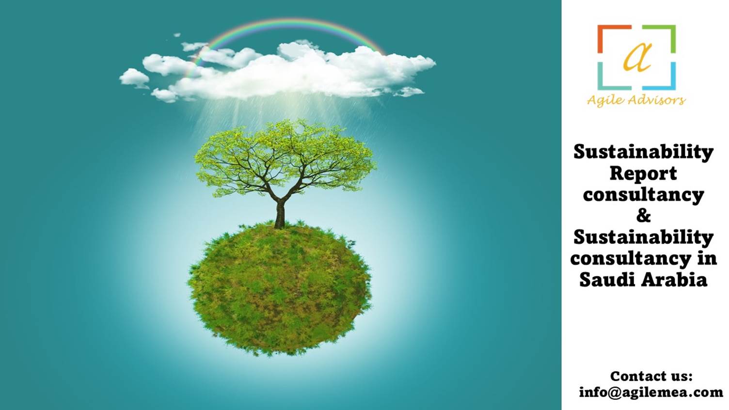 Sustainability Report Consultancy