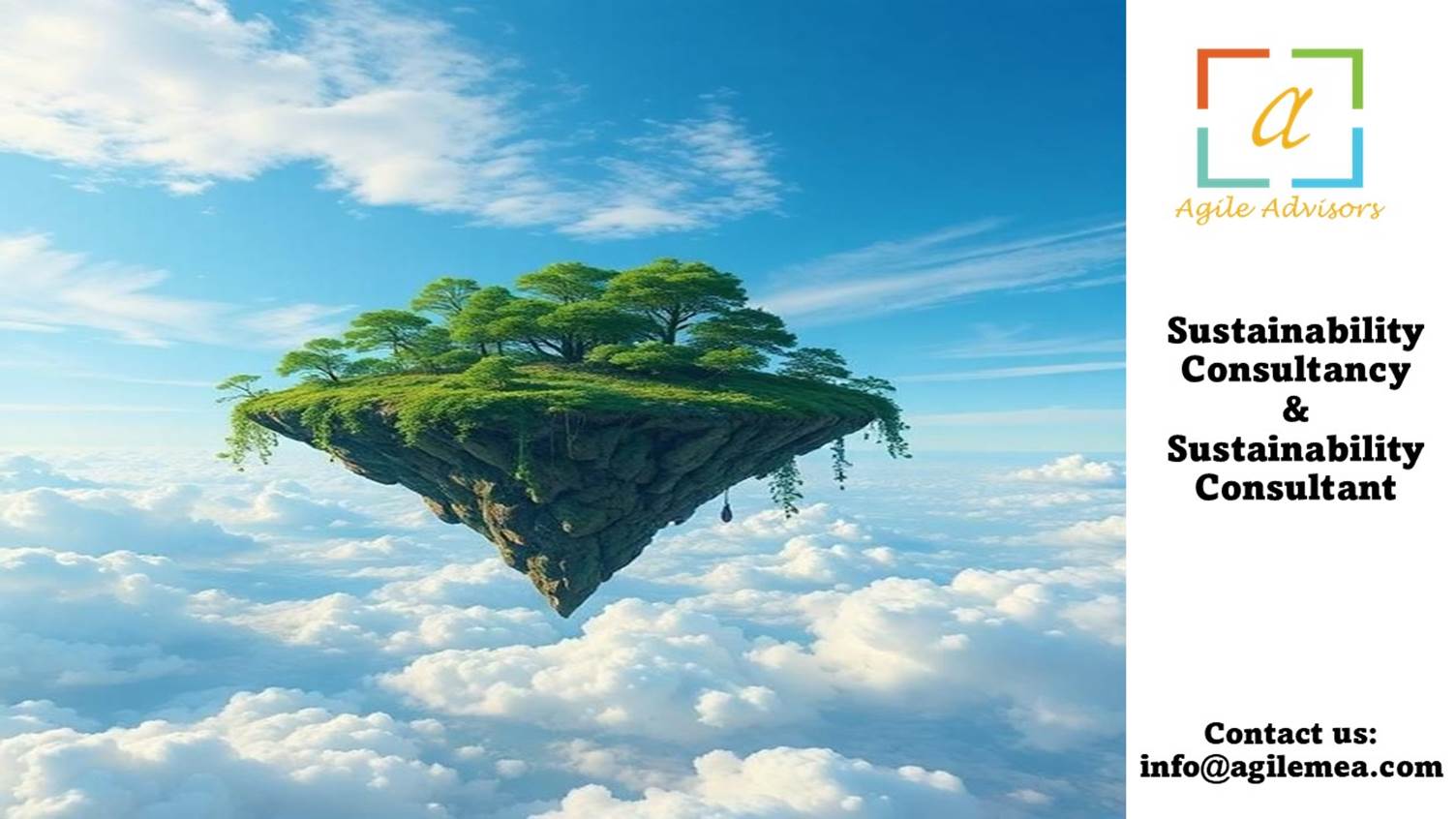 Sustainability Consultancy