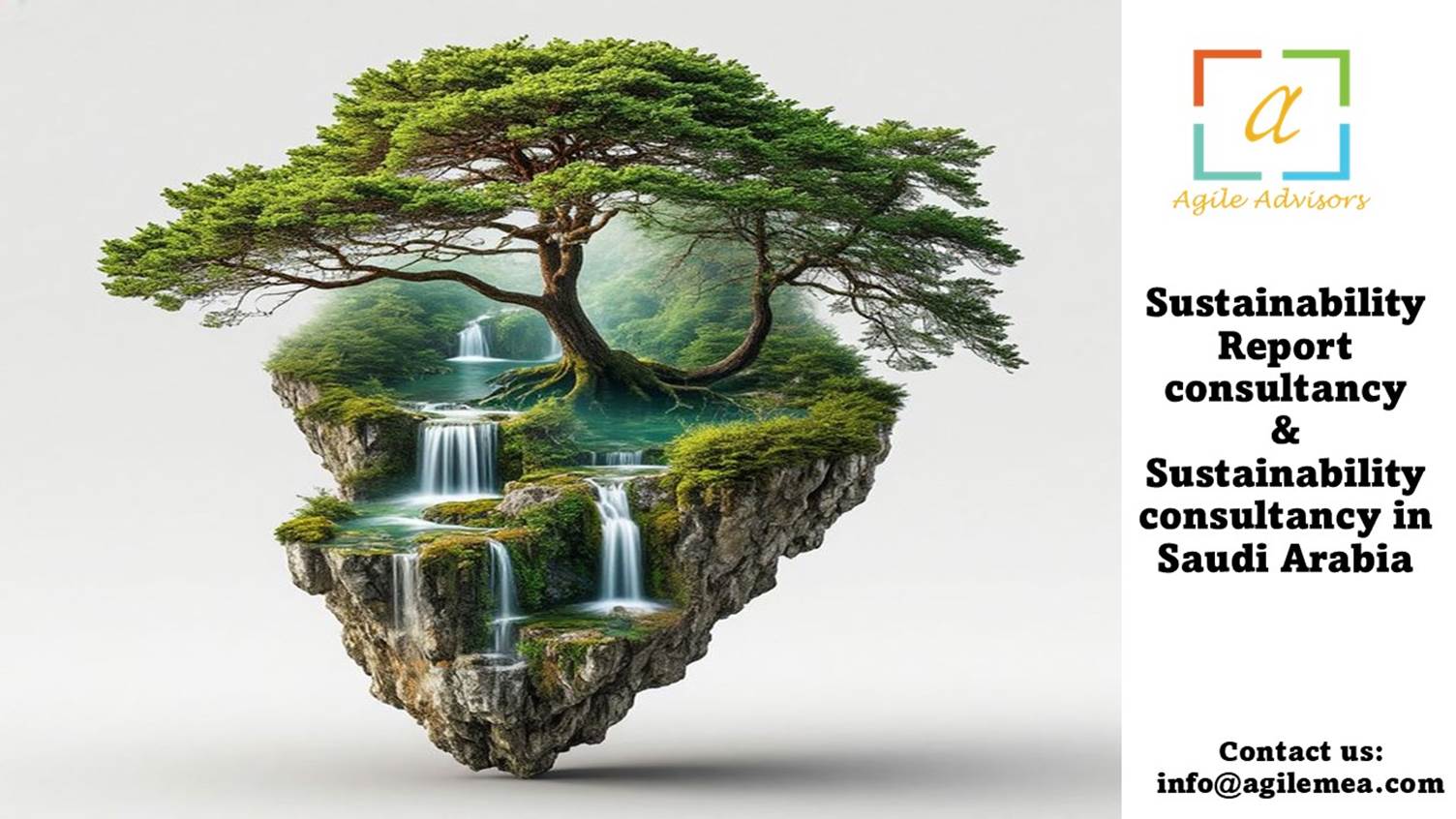 Sustainability Report Consultancy