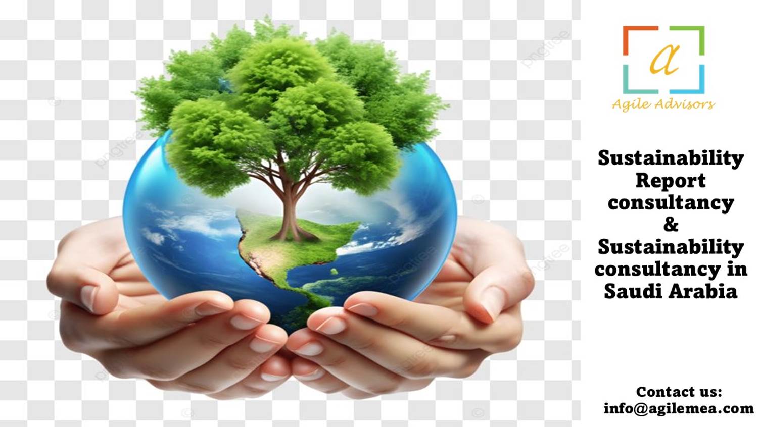 Sustainability Report Consultancy