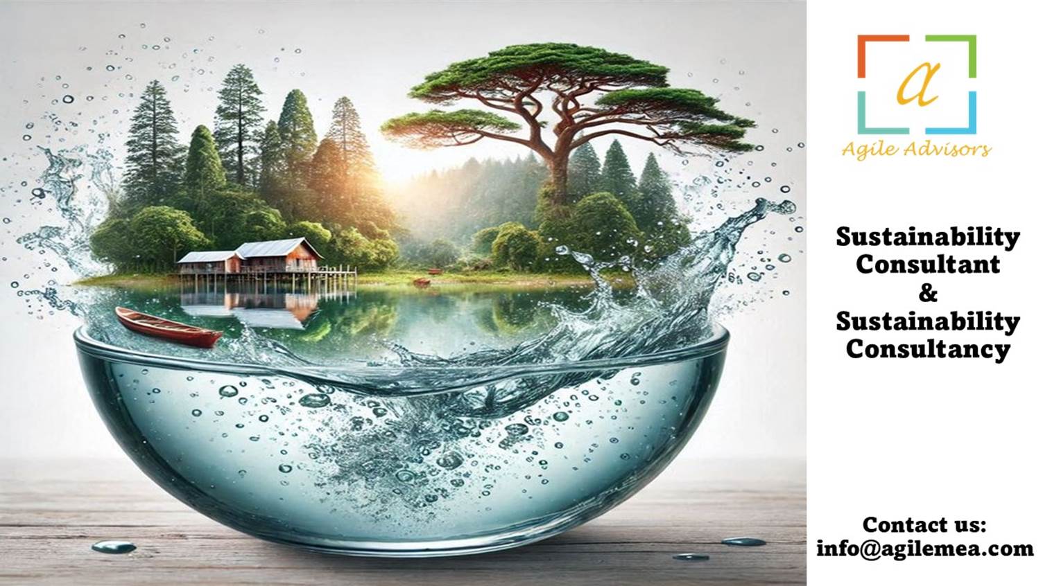 Sustainability Consultant