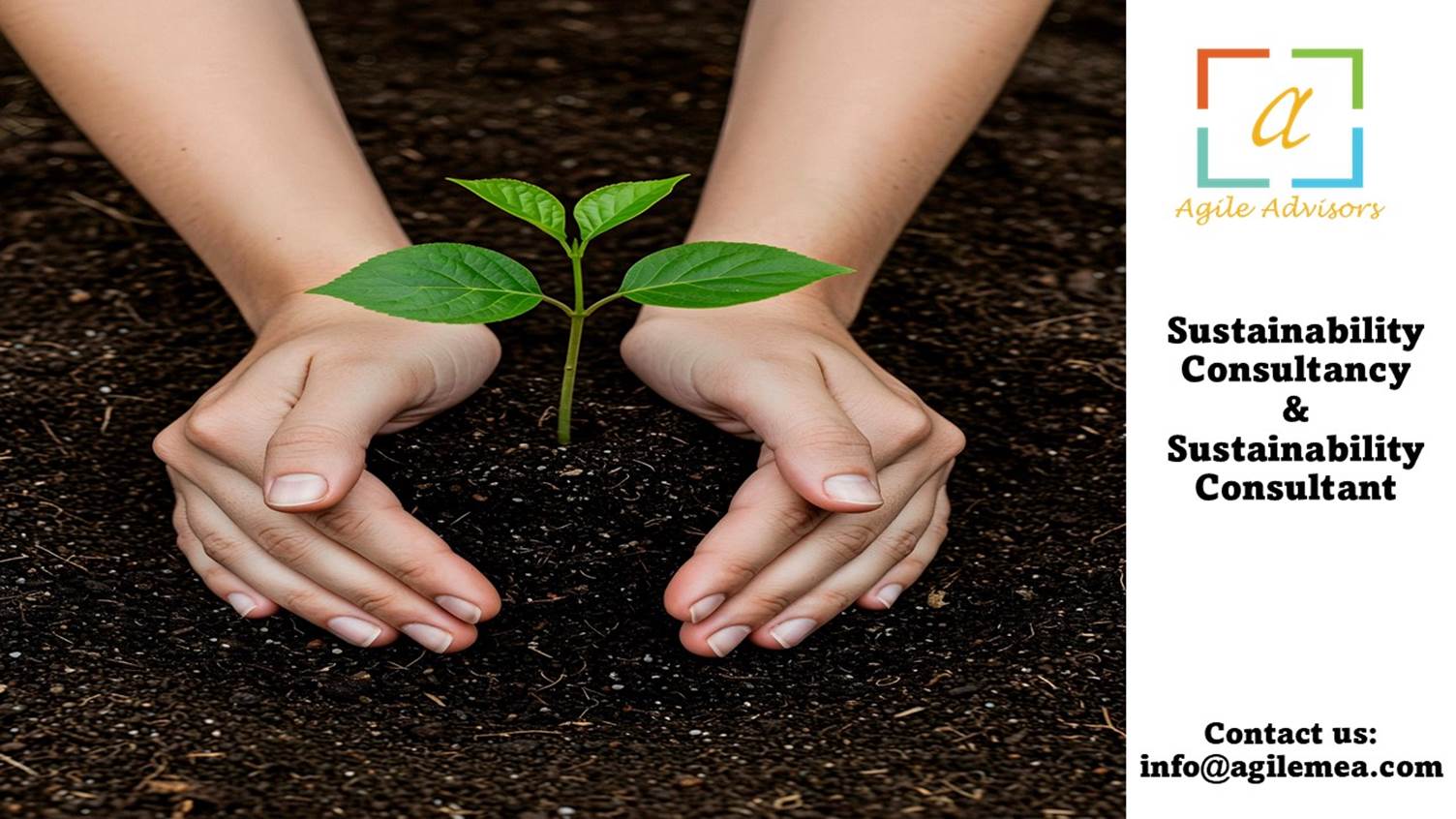 Sustainability Consultancy