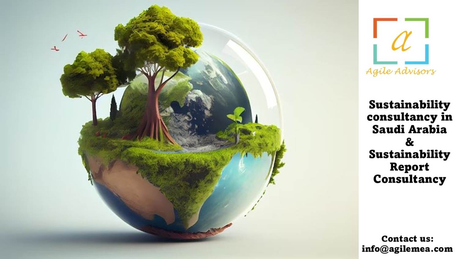 Sustainability Report Consultancy