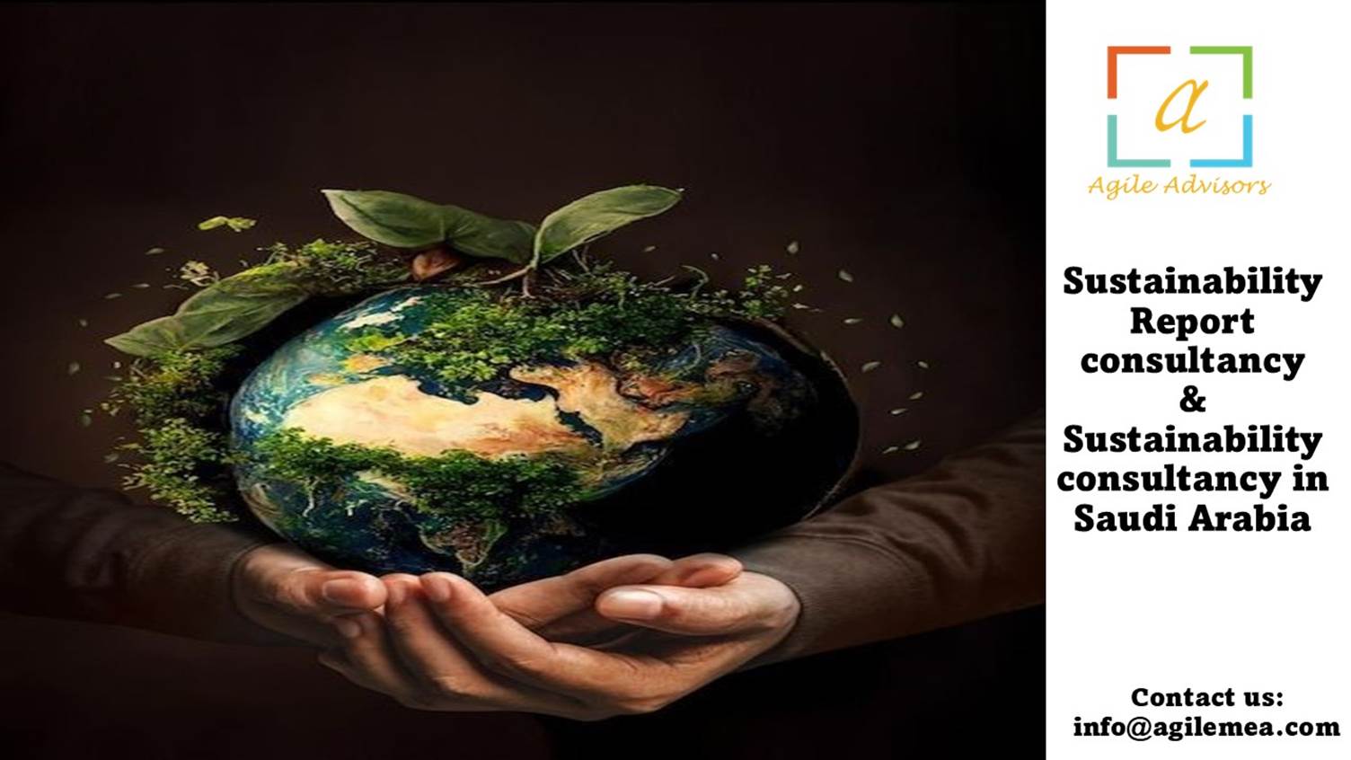 Sustainability Report Consultancy