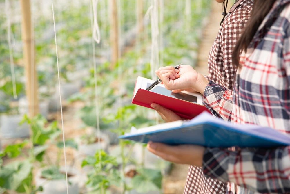 B.Sc. (Hons.) Agriculture Degree