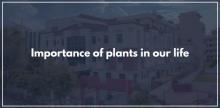 Plants hold cultural and symbolic importance in various societies