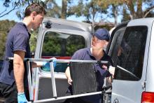 Pest Express: Trust us for all your pest elimination needs!