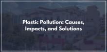 Plastic Pollution: Causes, Impacts, and Solutions