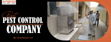 best pest control company